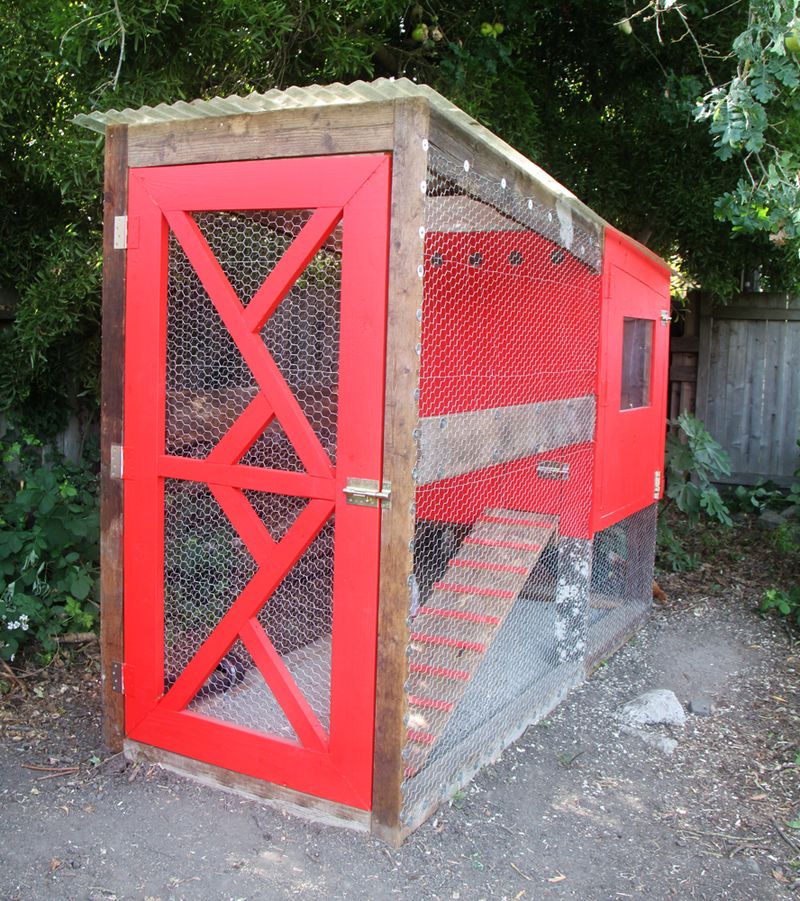 Cool Diy Chicken Coops