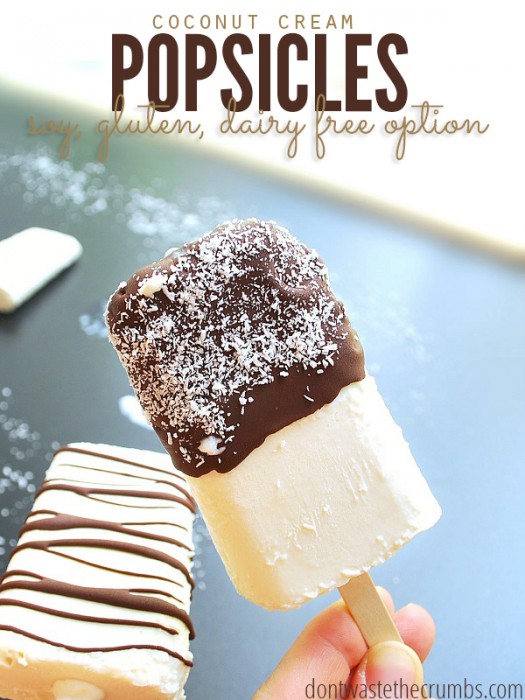 Coconut-Cream-Pops-Chocolate-Dipped_Cover