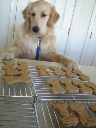 4 ingredient doggie treats