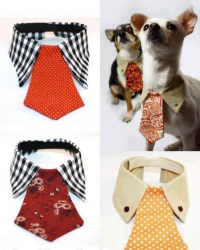 Cute collar & tie for your dog