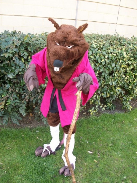 splinter costume