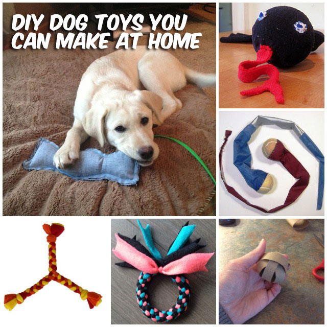 37 Homemade Dog Toys Made by DIY Pet Owners