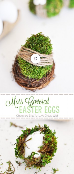 Moss-Covered-Easter-Eggs1