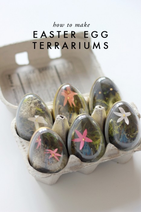 eggs-in-carton-terrarium