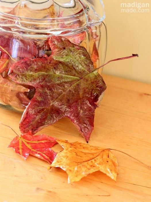how-to-preserve-fall-leaves-with-decoupage-04