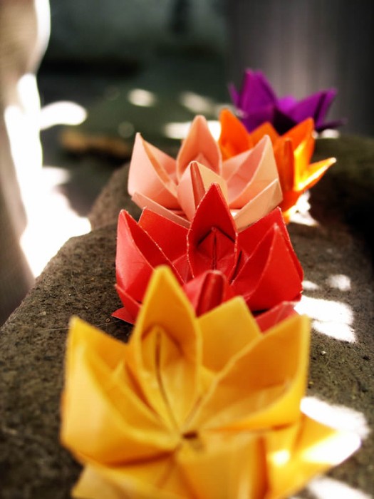 Origami_lotus_flowers_by_outinthegarden