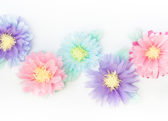 diy-tissue-flowers