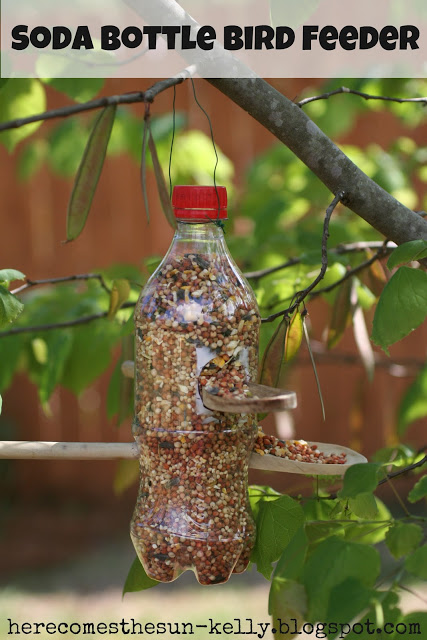 bird feeder5