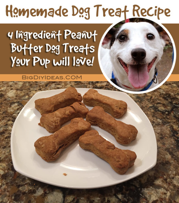 Homemade Dog Treat Recipe
