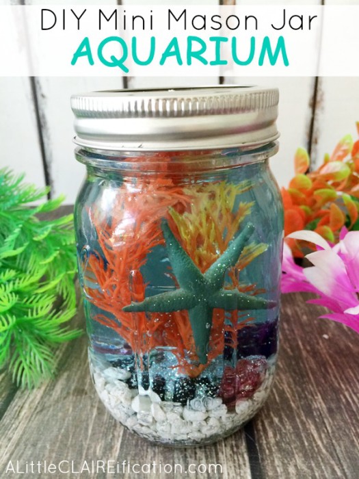 Mini-Mason-Jar-Aquariums-PM2