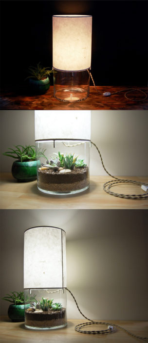 Lamp with Small Terrarium