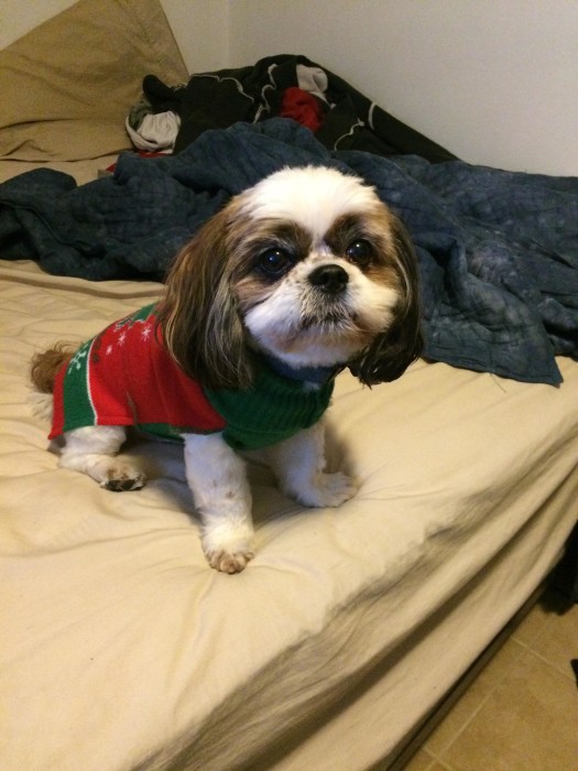 Dog Ugly Christmas Sweater