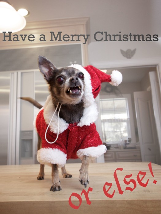 Festive Dog Merry Christmas Card
