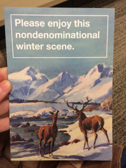 Funny Winter Scene Holiday Card