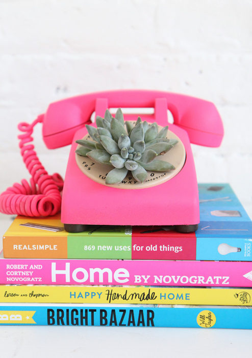 DIY Rotary Phone Succulent Planter