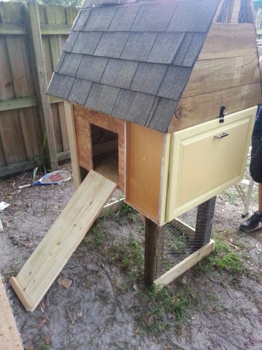 How to Build a Chicken Coop for Less Than 50