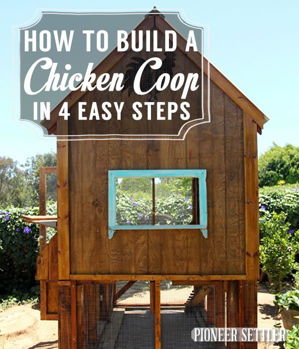 How to Build a Chicken Coop in 4 Easy Steps