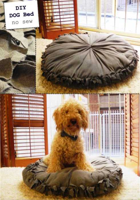 DIY Dog Bed No Sew