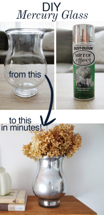 DIY Mercury Glass Vase