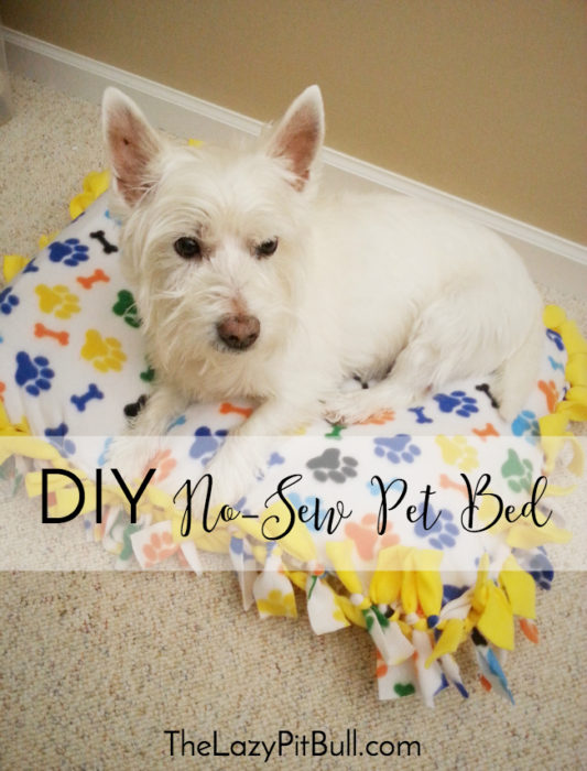 DIY No Sew Pet Bed