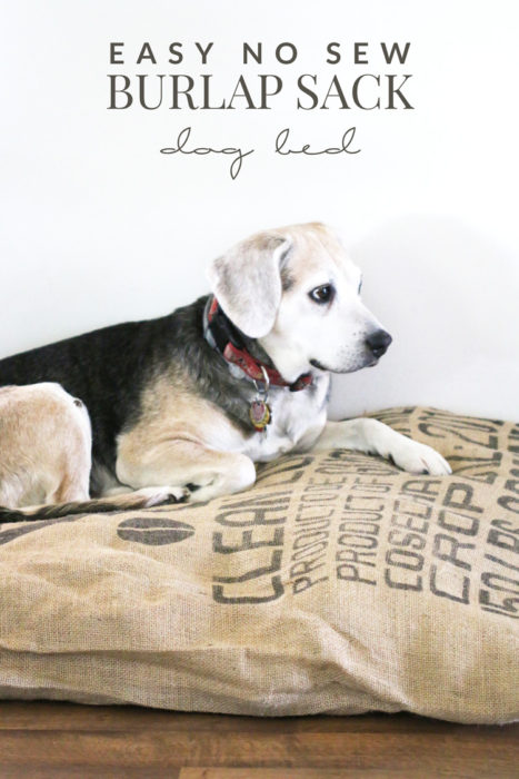 Easy No Sew Burlap Sack Dog Bed