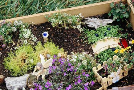 Fairy Container Garden