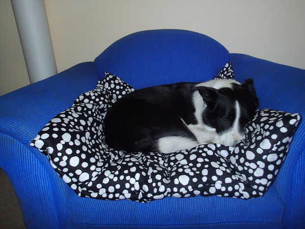 Giant Pillow Pet Bed