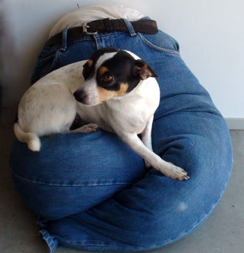 No Sew Blue Jeans Pet Bed