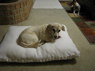 diy dog bed no sew