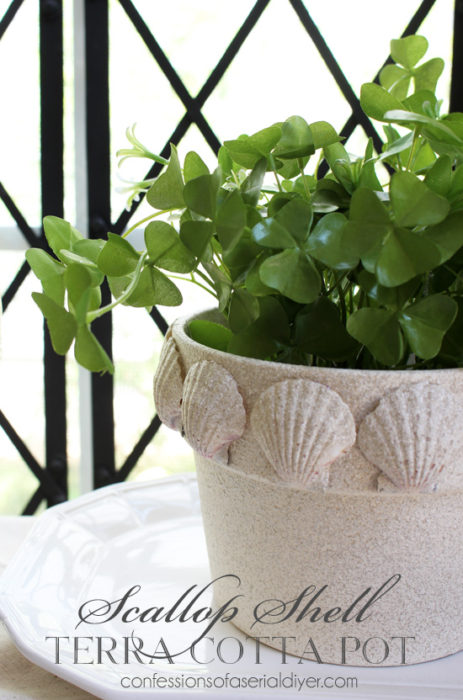 Scallop Shell Terra Cotta Pot