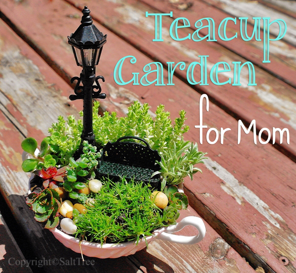 Teacup Fairy Garden for Mom