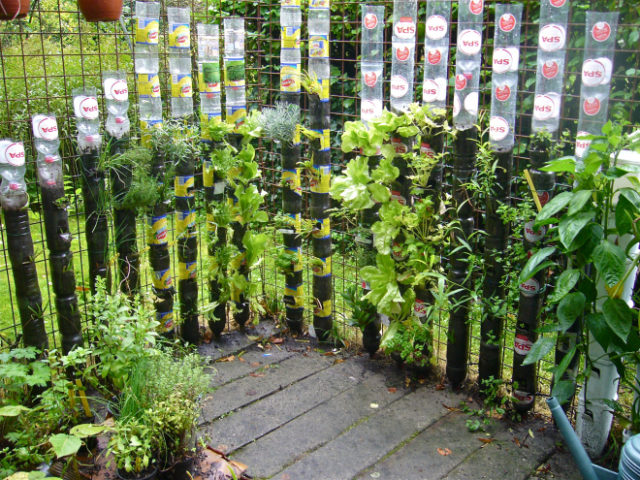 Bottle Tower Gardening How to Start