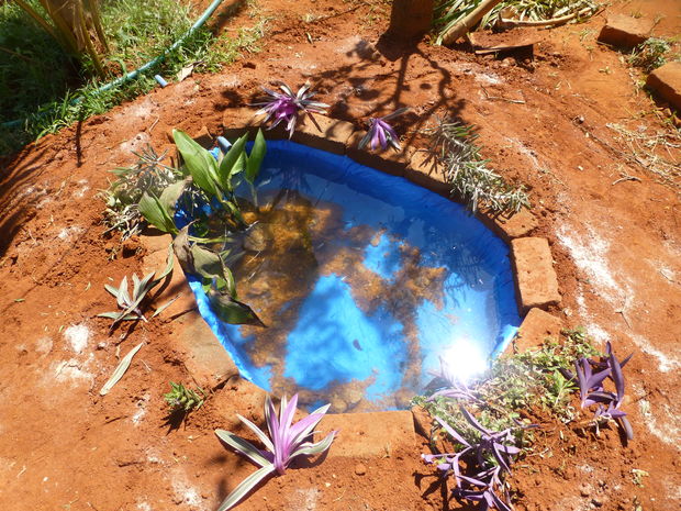 Constructing a Small Fish Pond in the Garden