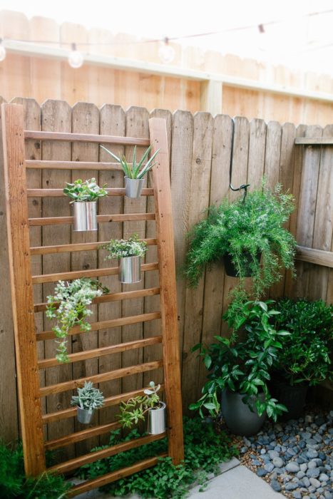 DIY Outdoor Succulent Wall Accent