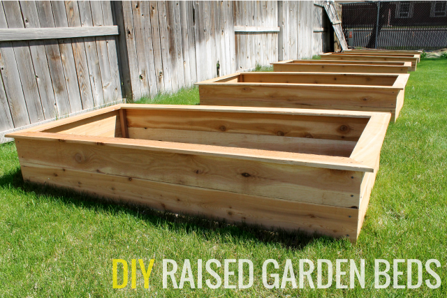 DIY Raised Garden Beds