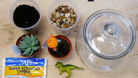 DIY Terrarium Spring Room Decor