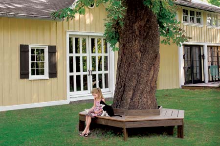 How to Build a Tree Bench