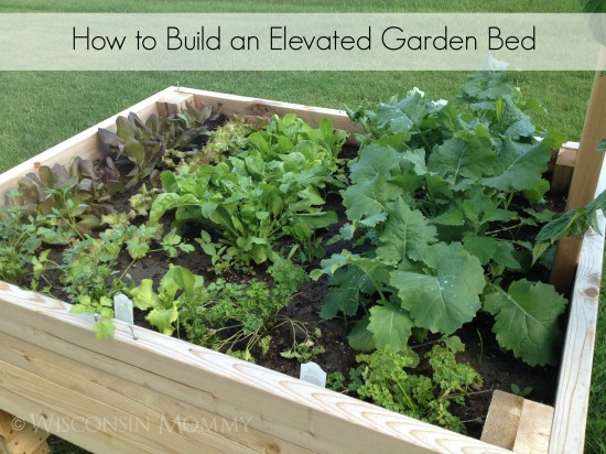 How to Build an Elevated Garden Bed