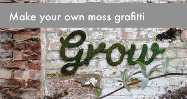 Make your own moss grafitti
