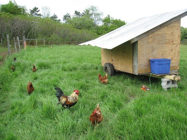 Mobile Chicken Coop with Some Automation
