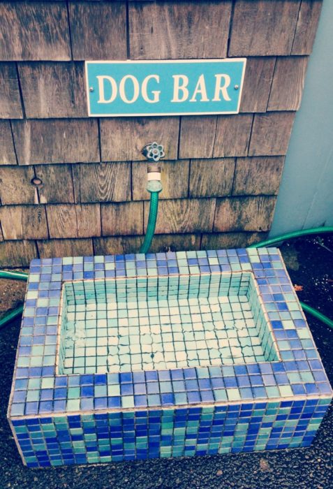 Mosaic Tile Dog Bar