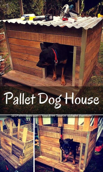 Rustic Pallet Dog House