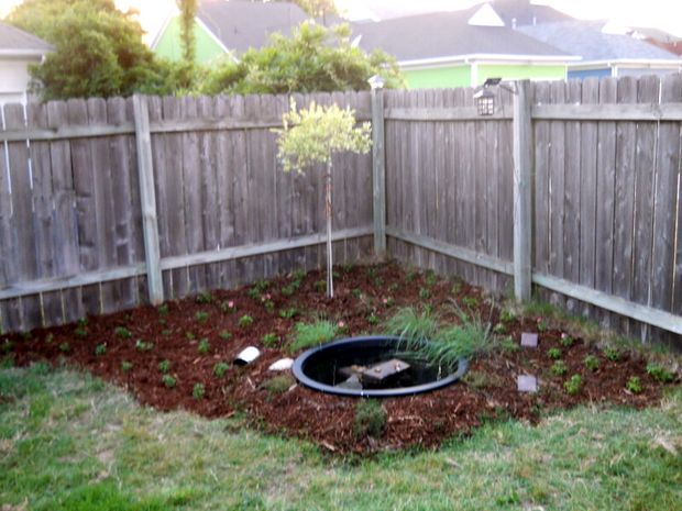 Small Solar Powered Pond and Garden for Around 100