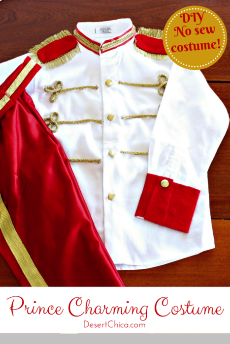 DIY No Sew Prince Charming Costume