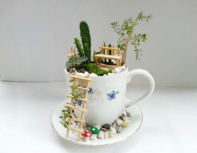 Make a Teacup Fairy Garden