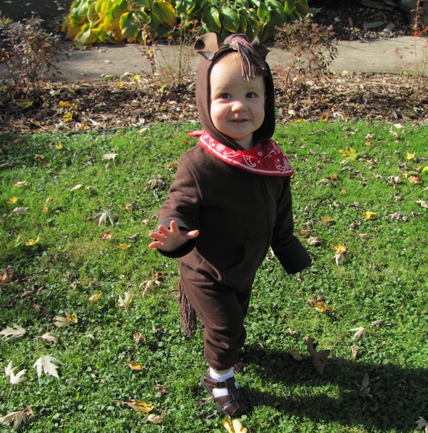 Quick Easy and Inexpensive Horse Costume