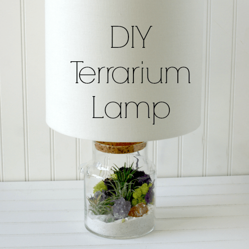 DIY Terrarium Lamp