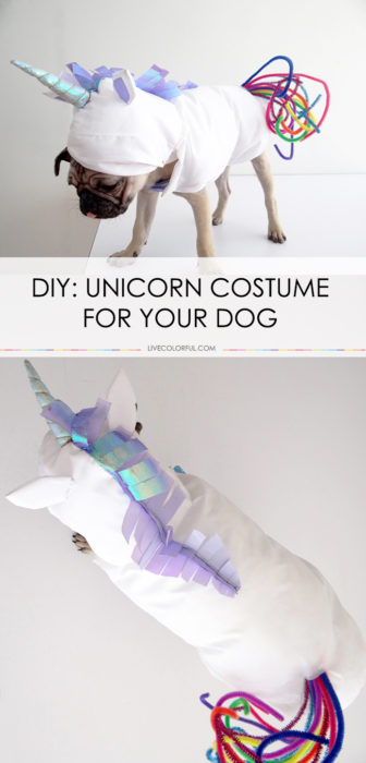 How to Make a Unicorn Costume for Your Dog