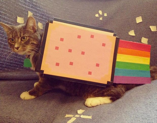 Nyan Cat Pet Costume