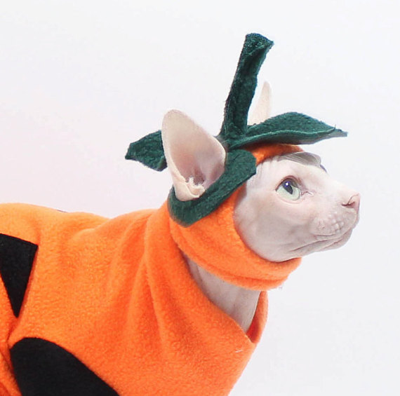 Sphynx Cat Costume Hat Pumpkin